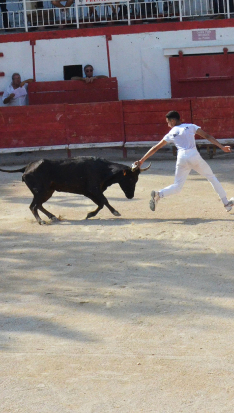 Course Camarguaise