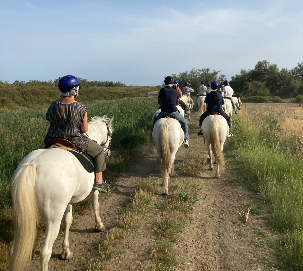 Balade à cheval en Camargue