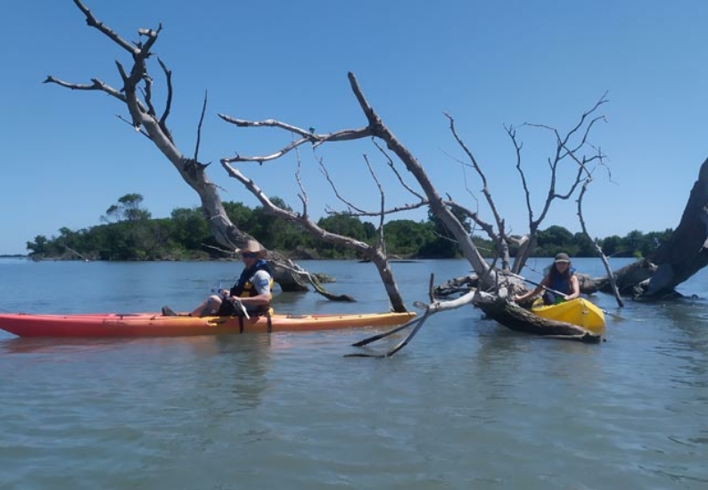 Kayak en Camargue