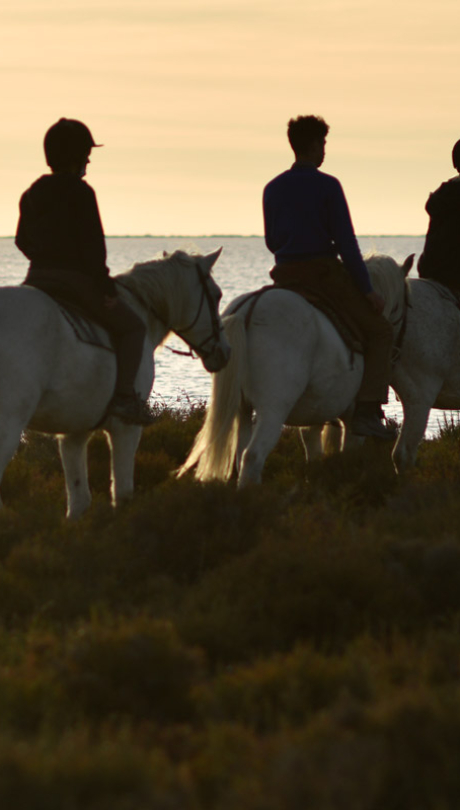 Balade à cheval sous le soleil couchant de Camargue