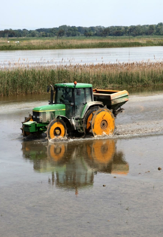 Tracteur dans une rizière en Camargue