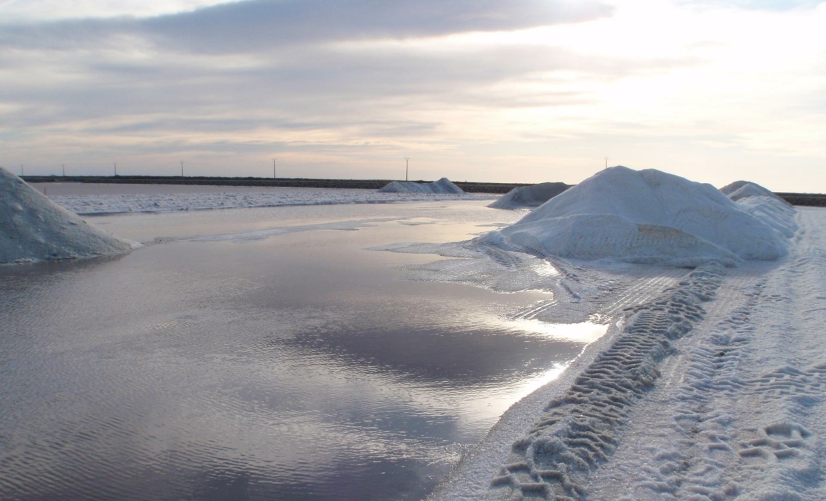 Salins du midi et la technique du sel contre sel