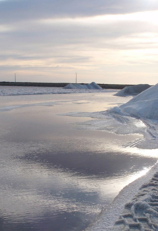 Salins du midi et la technique du sel contre sel