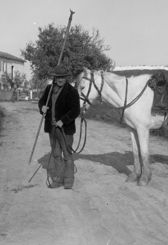 Gardian et son cheval, en Camargue