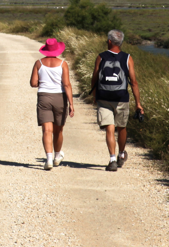 Balades et randos en Camargue