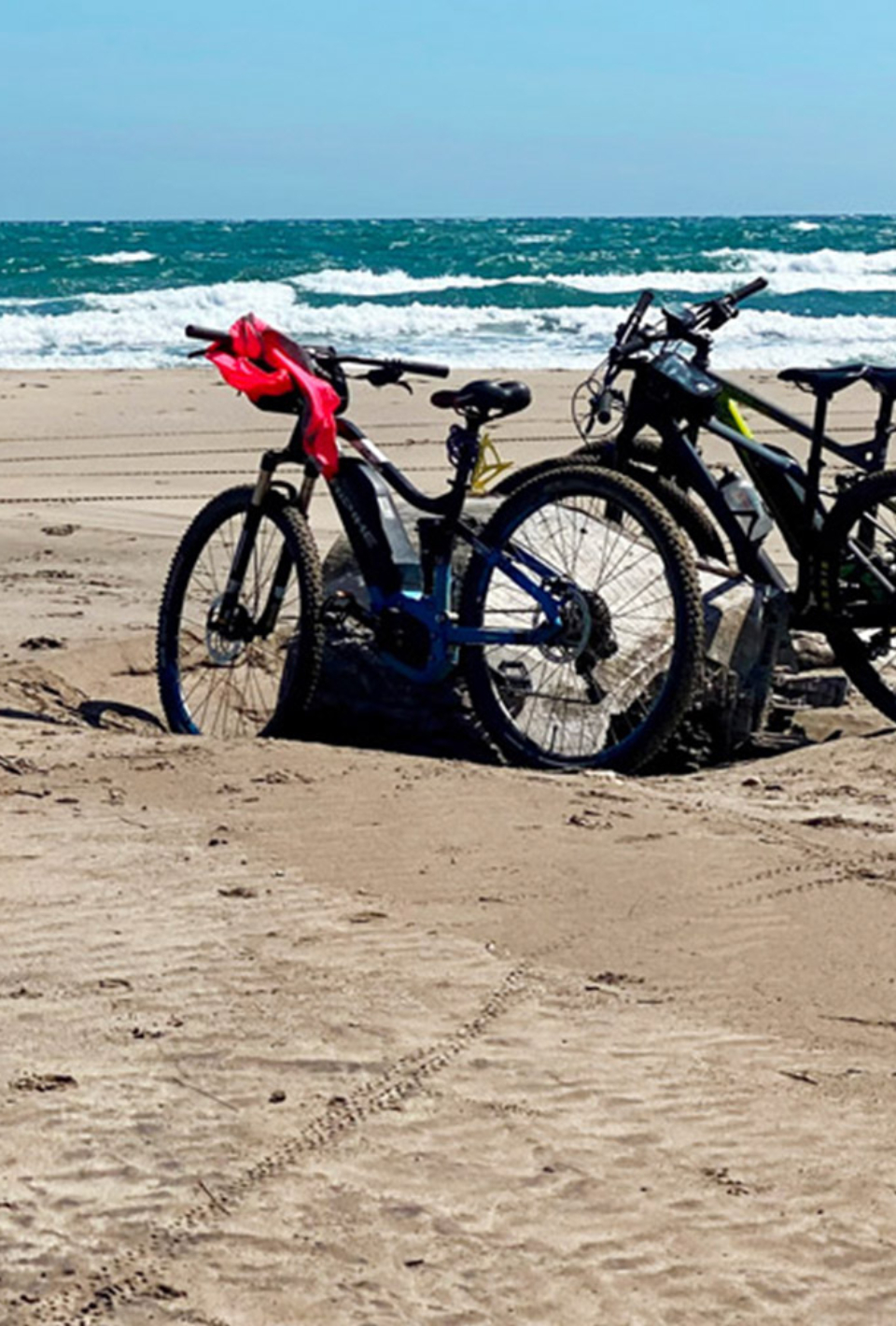 Vélo en Camargue