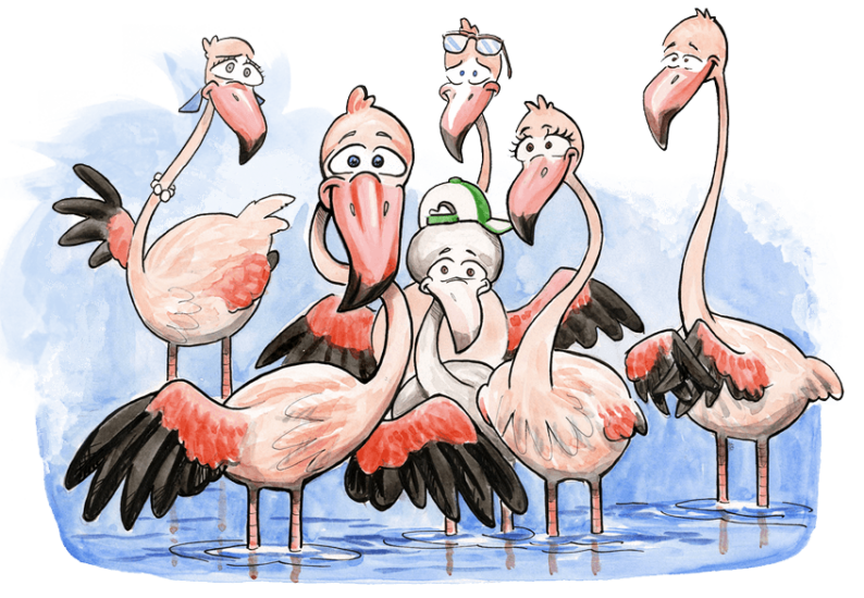 Illustration de flamants roses