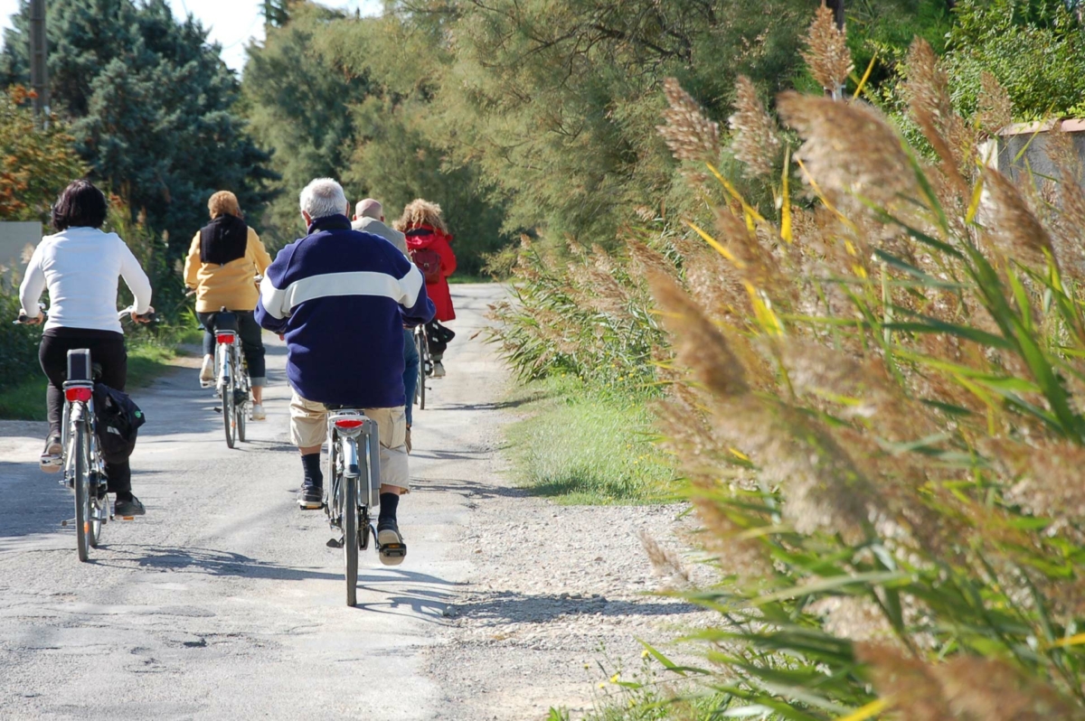 Cyclistes en Camargue