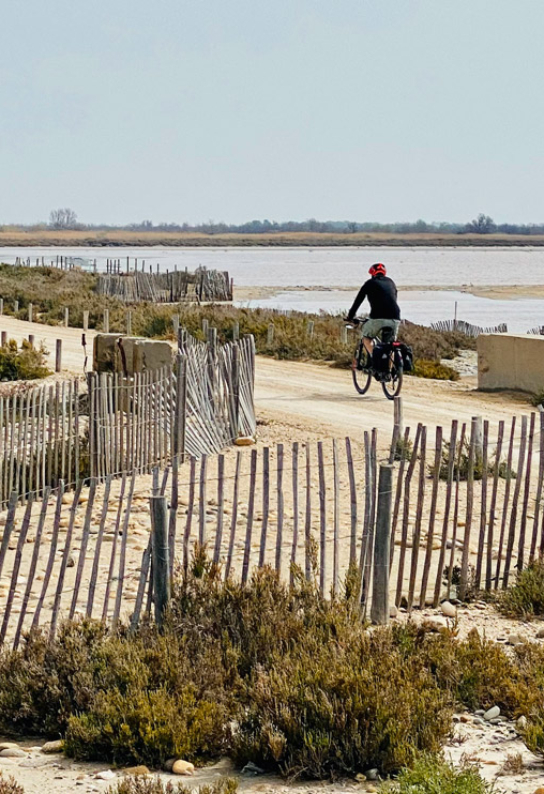 Cycliste à l'étang du Fangassier en Camargue